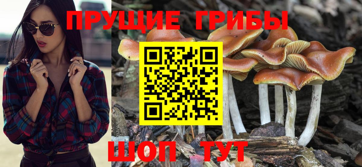 Шахты  Псилоцибиновые грибы MAGIC MUSHROOMS  Вход с VPN 